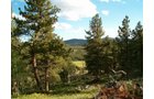 Property photo 1 - Get Lost in the Pristine Northern Colorado Rockies - Prime Building Sites